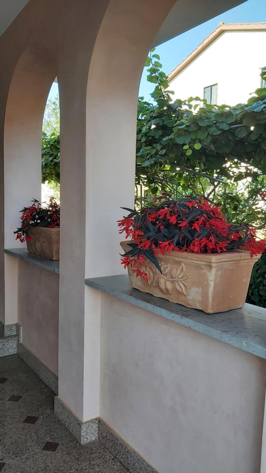 Apartments Villa Mirjam Porec Ngoại thất bức ảnh